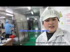Switch Membran PET yang Disesuaikan untuk Peralatan Medis dan Aplikasi Industri